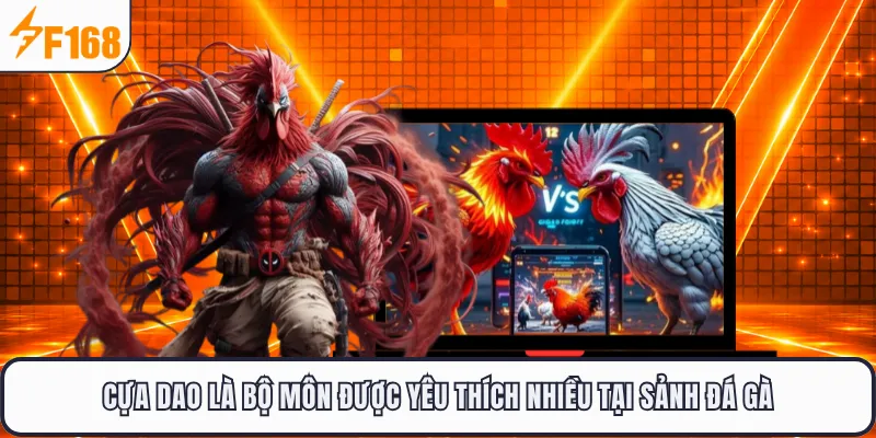 Cựa dao là bộ môn được yêu thích nhiều tại sảnh đá gà